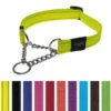 Rogz Utility Control Collar Medium 1 Rogz Utility Control Collar Medium -Quality Pet Supply Store rogz utility control collar medium
