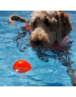 RuffDawg Indestructible Rubber Ball -Quality Pet Supply Store ruffdawg indestructible rubber ball 2