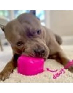 RuffDawg Indestructible Rubber Dawg Cubes -Quality Pet Supply Store ruffdawg indestructible rubber dawg cubes 3