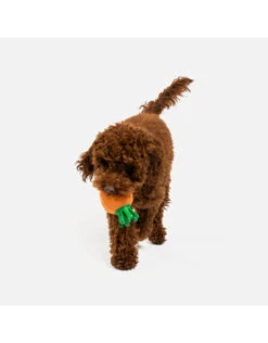 Silver Paw Carrot Dog Toy -Quality Pet Supply Store silver paw carrot dog toy 2