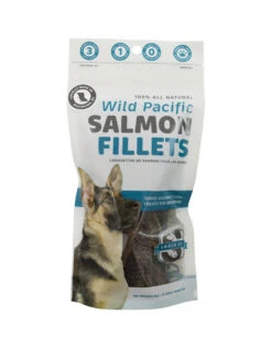 Snack 21 Salmon Fillets 65GM