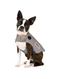Thunderworks Thundershirt Sport Platinum -Quality Pet Supply Store thunderworks thundershirt sport platinum 2