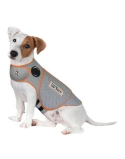 Thunderworks Thundershirt Sport Platinum -Quality Pet Supply Store thunderworks thundershirt sport platinum 3