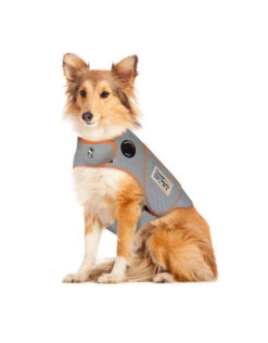 Thunderworks Thundershirt Sport Platinum -Quality Pet Supply Store thunderworks thundershirt sport platinum 5