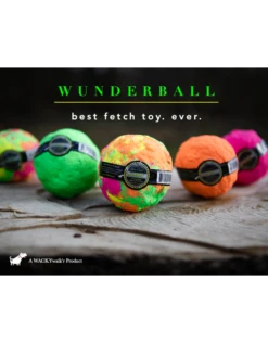Wacky Walk'r WunderballLarge Single