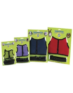 Walking Vest & Leash