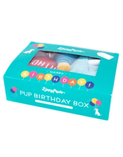 ZippyPaws Plush Toy Birthday Box